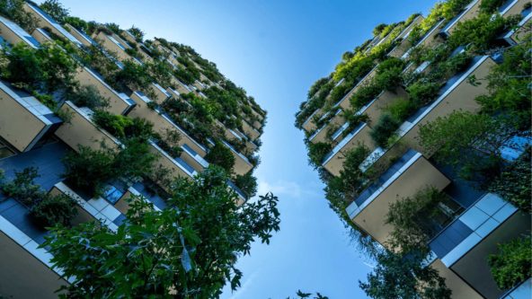 Fintech’s place in the Climate Change race