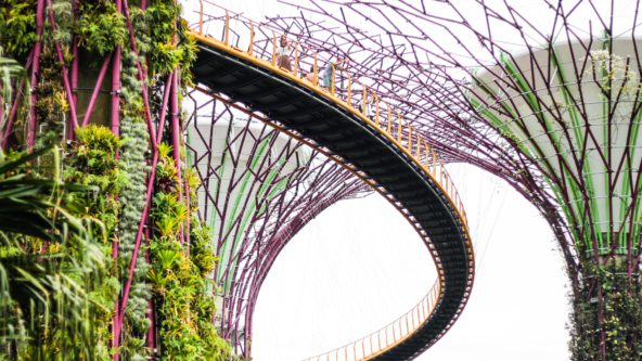 Sustainable Finance: trends and predictions for 2021